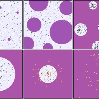 Schematic illustration of different stages of the phase transition and ...