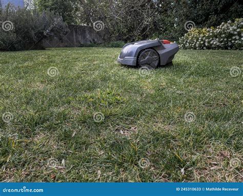 Robot Mower Cutting High Grass. Stock Image | CartoonDealer.com #221370571