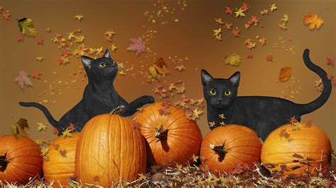 Halloween Cat Desktop Wallpapers - Top Free Halloween Cat Desktop ...