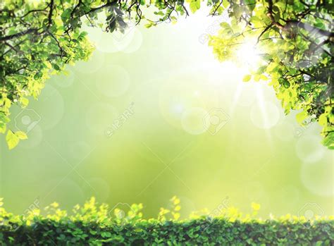 natural green Spring or summer season abstract nature background ...