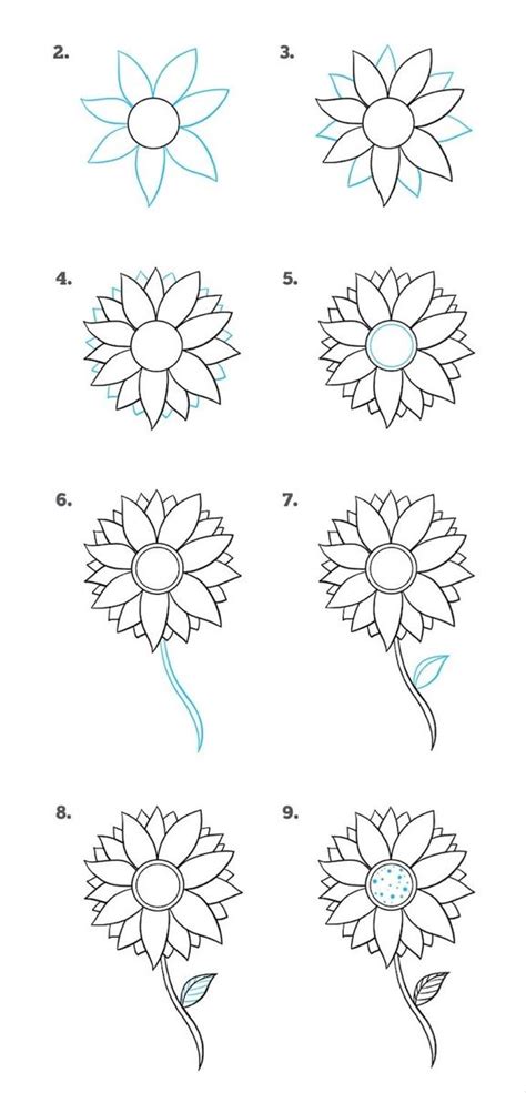 how to draw a sunflower step by step - Karey Mcneely