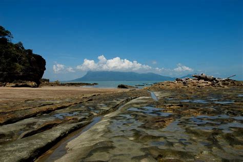 Bako National Park Day Trip - dahcuti