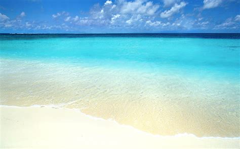 Download Sea Tropical Horizon Turquoise Nature Beach HD Wallpaper