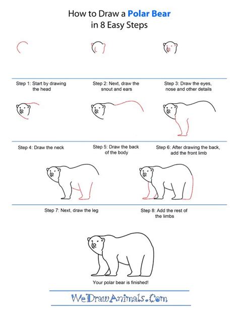 polar animal directed draw - Google Search | Polar bear drawing, Bear ...