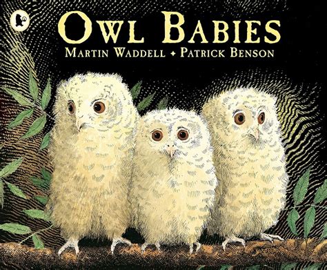 Walker Books - Owl Babies (Picture Book) - WordUnited