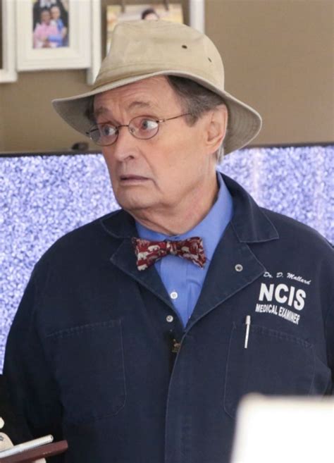 Dr. Mallard "Ducky" in 2021 | Ncis, Ducky, Tv shows