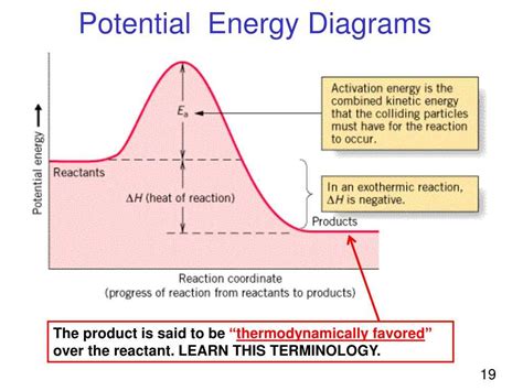 Understanding Potential Energy Diagrams: Examples and Analysis