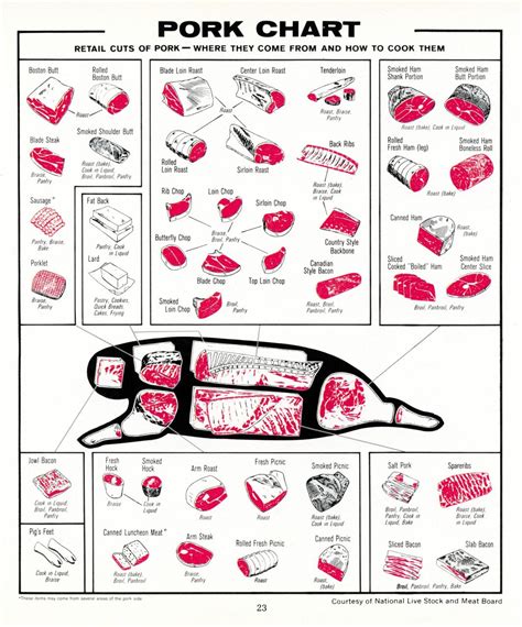 Printable Pork Cuts Chart - Printable Word Searches