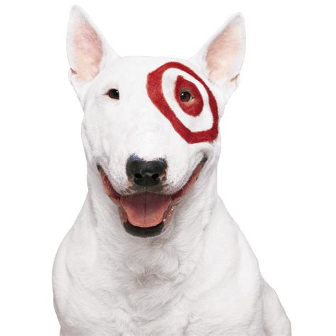 How Old Is Target Dog