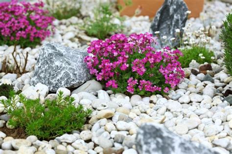 Everything You Need to Know About How to Build Rock Gardens - Backyard Boss