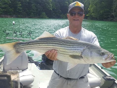 Clinch River Lake in East Tennessee - StriperFun Guide Service