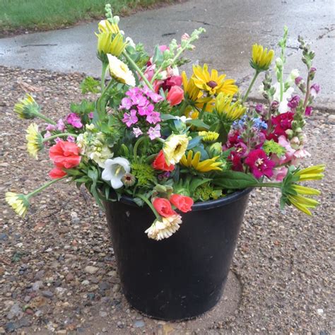 Bucket of Flowers - Two Sisters Flower Farm