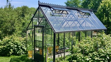 Backyard greenhouse lets you garden and harvest food even in winter