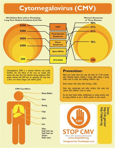 Cytomegalovirus (CMV Virus) and Pregnancy | Parenting Patch