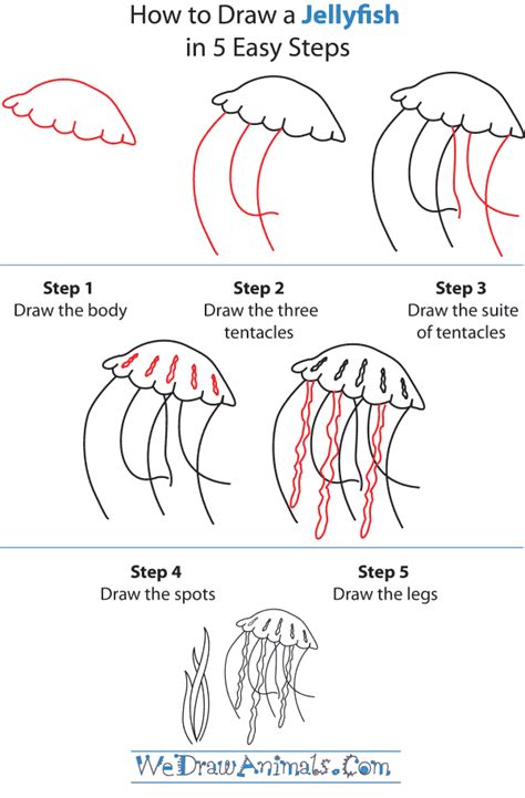 How to Draw a Jellyfish