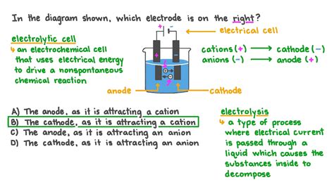 The Relationship Between a Cathode and an Anode Involves