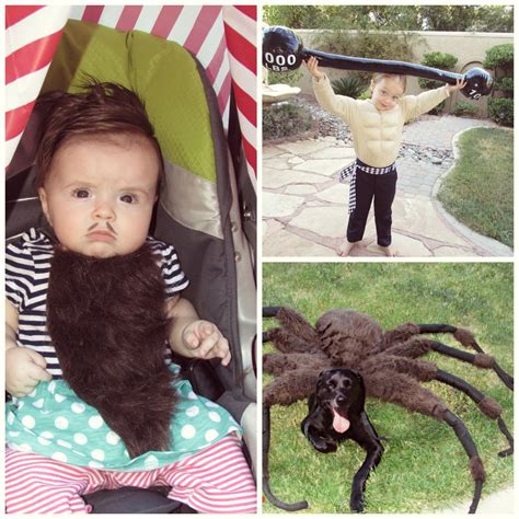 Giant Spider Dog Costume! : 7 Steps (with Pictures) - Instructables