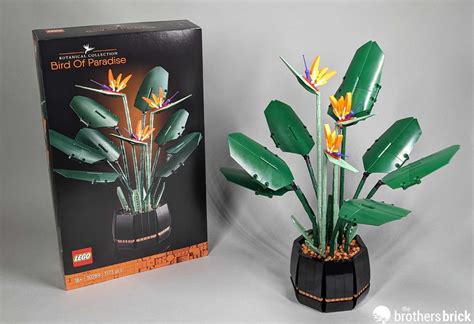 LEGO-Botanical Collection-10289-Bird of Paradise-Review-Q9861-35 - The ...