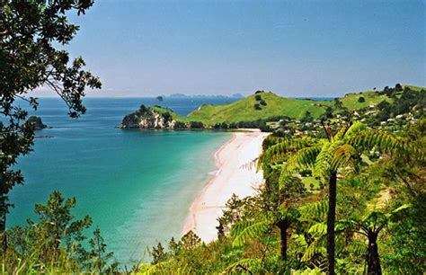 New Zealand’s Best Beaches - Whitianga | MoaTrek New Zealand Tours ...