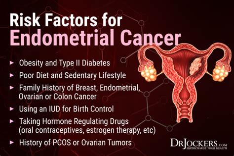 Endometrial Cancer: Symptoms, Causes, and Support Strategies