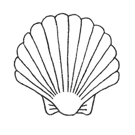 Shell drawing, Shell tattoos, Line art drawings