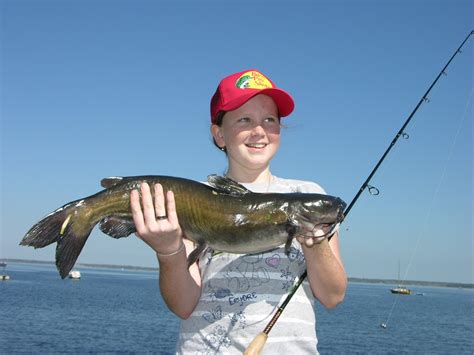 outdoorscribe: During late summer, early fall catfish begin to feed for ...