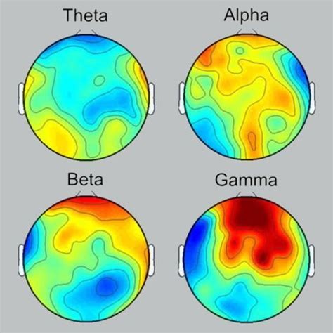 EEG Brain Map | Mind Strength Balance