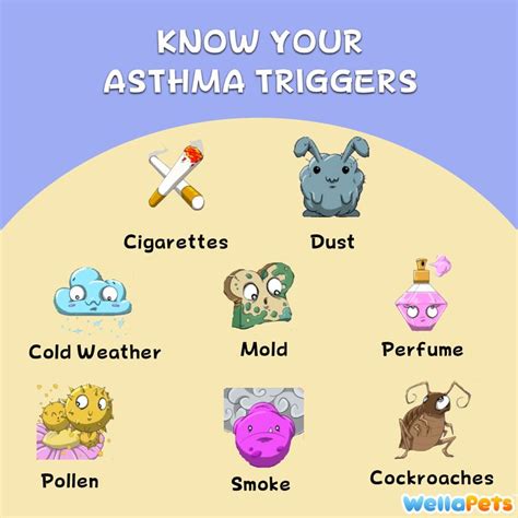 73 best images about Asthma on Pinterest | Health, Lungs and Therapy