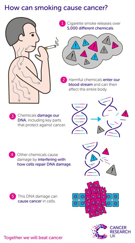 Causes Of Cancer / Esophagus Cancer: Causes, Symptoms, Diagnosis ...