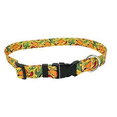 Taco Fiesta Dog Collar by Yellow Dog - Yellow | BaxterBoo