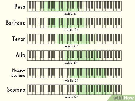 How to Find Your Vocal Range (with Pictures) - wikiHow