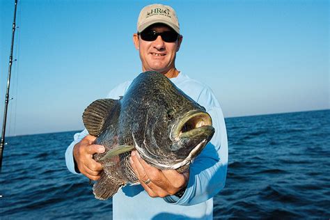 Tripletail, How to Catch Tripletail | Salt Water Sportsman