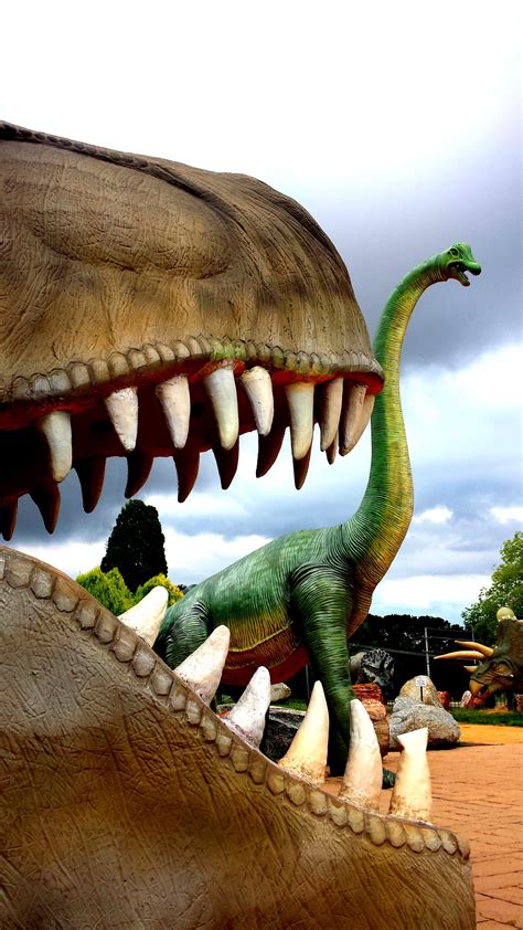 Dinosaur Museum, Canberra | Australia bucket list, Australian capital ...