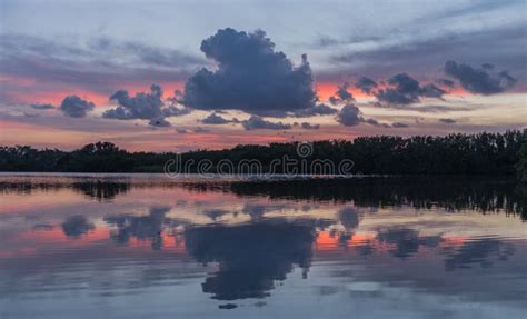 Sunset in Lake of Everglades National Park Stock Photo - Image of ...