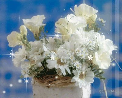 Animated White Flowers Pictures, Photos, and Images for Facebook ...