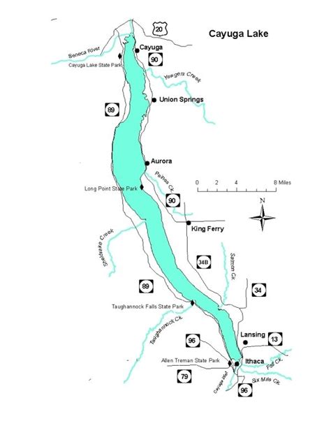 Large Map of Cayuga Lake - NYS Dept. of Environmental Conservation ...