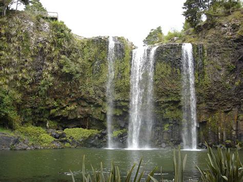 Whangarei Falls - Waterfall in a Suburban Park in Whangarei