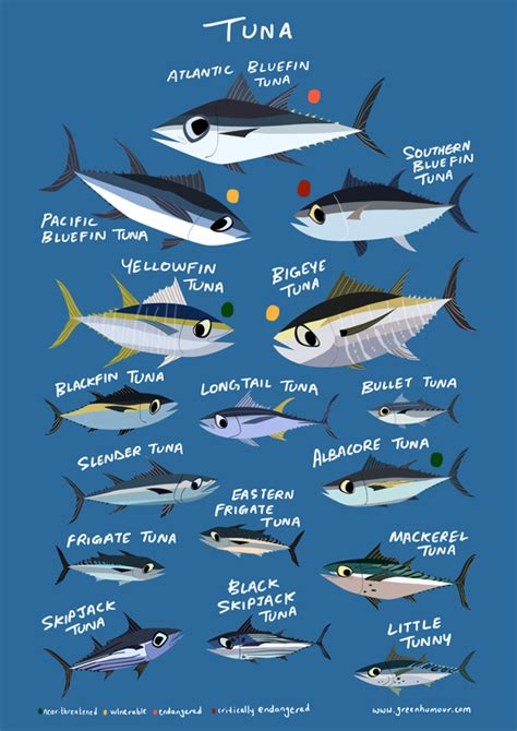 Green Humour: Tuna Species of the World