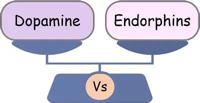 Difference Between Dopamine and Endorphins (with Comparison Chart ...