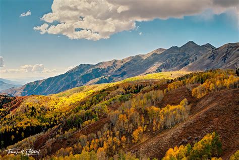 Autumn Glow | Mt. Nebo, Utah | Tomas W Mitchell