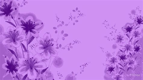 Lavender Color Wallpapers - Wallpaper Cave