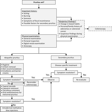 Diagnostics and treatment algorithm of pruritus ani | Download ...