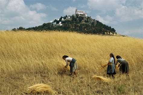 Neolithic Farming