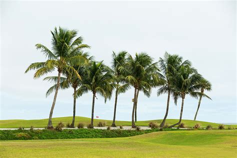 The Best Golf Courses in the Tampa Area: Where to Hit the Links in ...