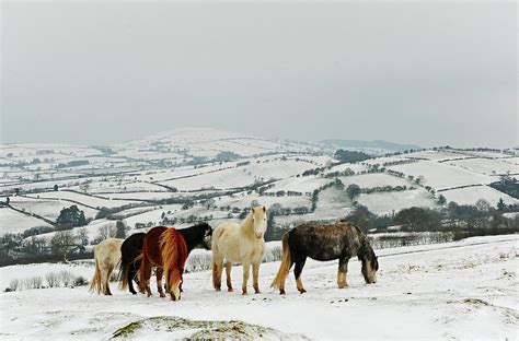 West Wales Winter by John B R Davies