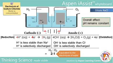 Electrolysis Of Brine Half Equations - Tessshebaylo