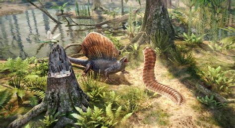 Carboniferous flora and fauna - 3D scene - Mozaik Digital Education and ...