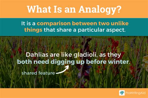 Analogy: Definition & Meaning (with Examples) - The Grammar Guide