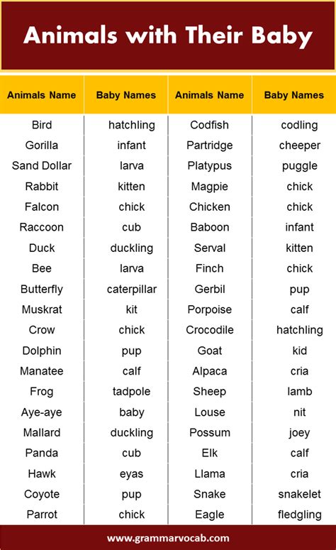 Animals with Their Baby Name - GrammarVocab