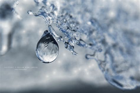 .:ice drop II:. | Photography and PP-work: Z-design Nina Lar… | Flickr